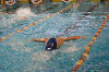 Click to enlarge Confosport: Finale del Campionato Regionale Invernale