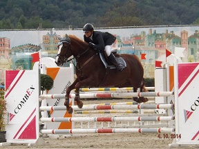 ippica atina