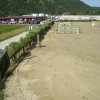 Ippica