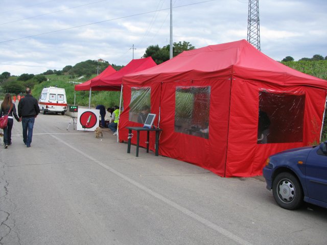 Motus6